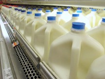Επιστήμονας του Harvard: «Σταματήστε αμέσως να πίνετε γάλα με χαμηλά λιπαρά»